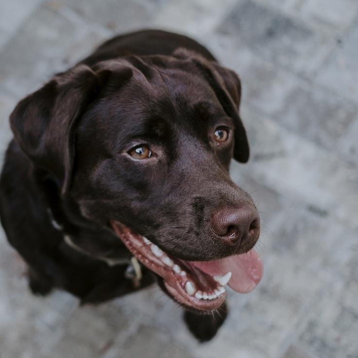 Ava Martin - Founder of Azure Field Seed