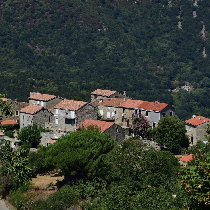 Family terraces and cafés for calm evenings in Montreal